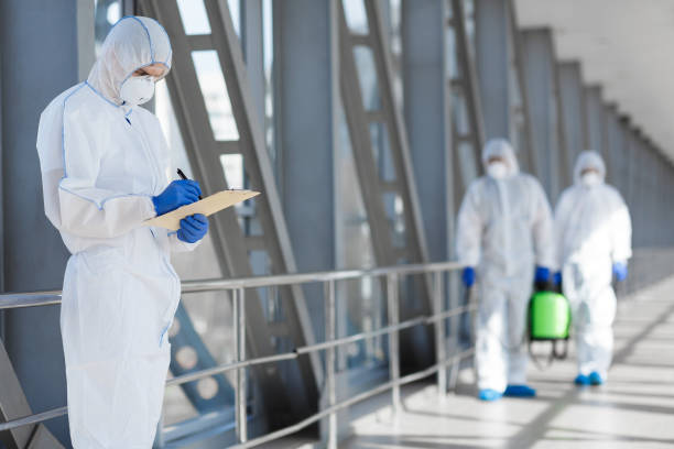 Best Basement Mold Removal  in Xenia, OH