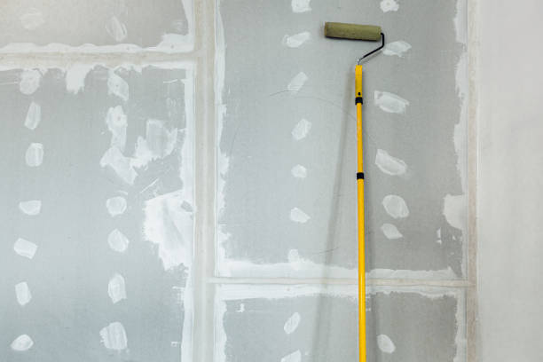 Professional Mold Removal in Xenia, OH