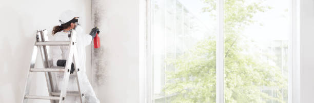 Best Dehumidification Services  in Xenia, OH