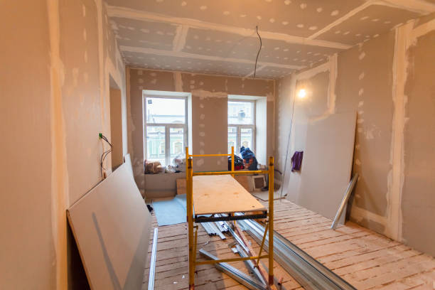 Best Black Mold Removal  in Xenia, OH